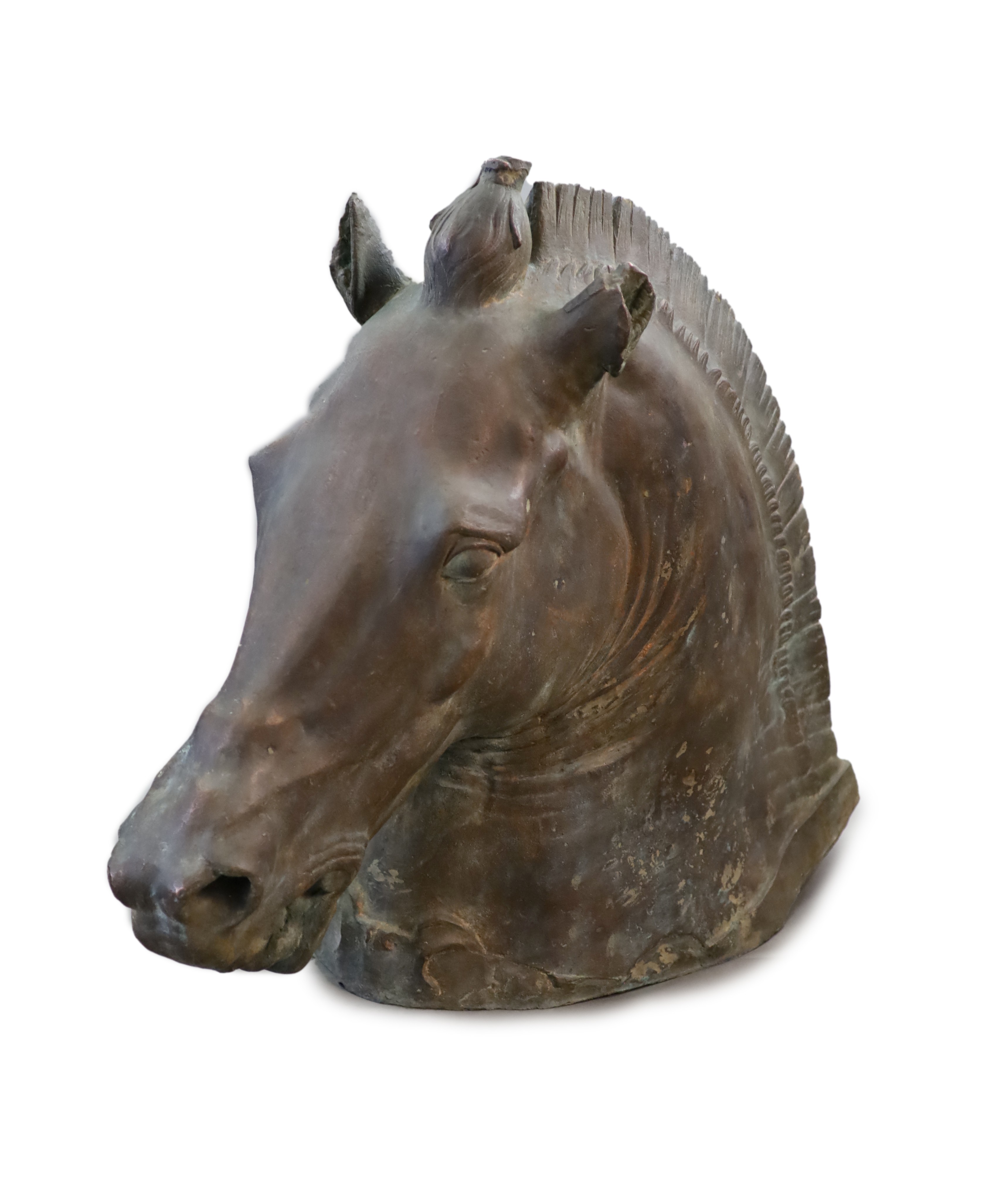 A large and impressive full-size bronze model after the Medici Riccardi horse’s head, 20th century, 97cm long, 80cm high